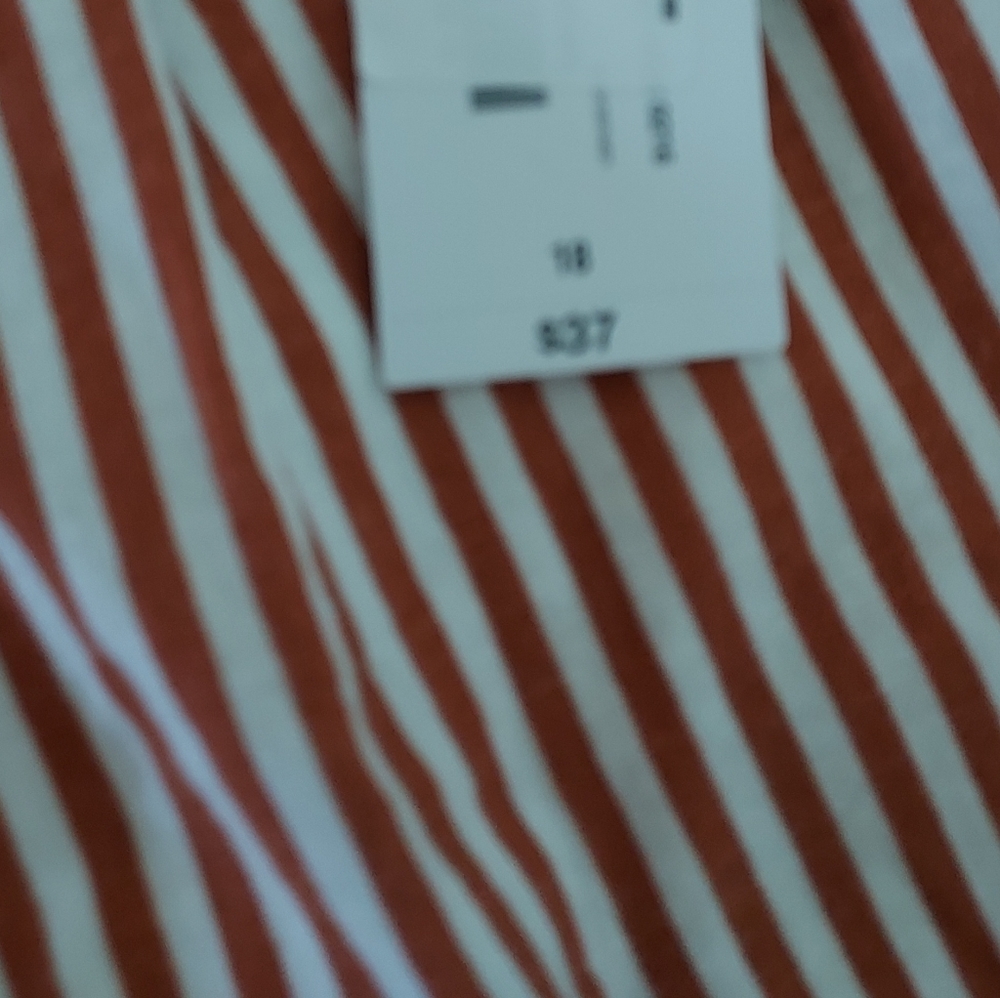 New Ladies Liz Claiborne Rust Linen Short Size 18 - Picture 4 of 4